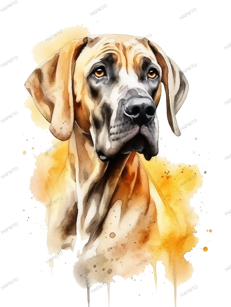 Hrnek Hamish