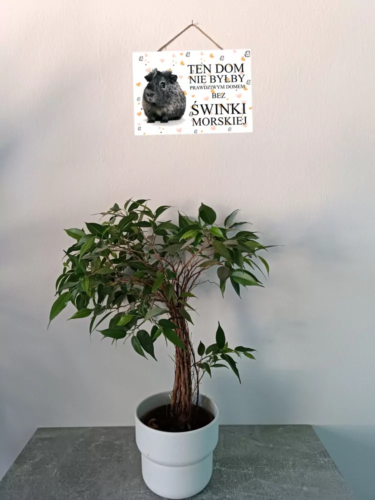 Cedulka s morčetem (polský text)