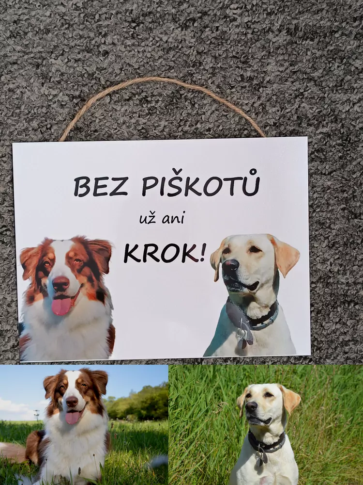 Cedulka PIŠKOTY (vlastní foto)