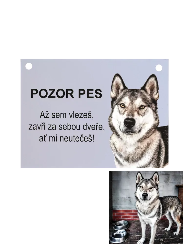 Cedulka POZOR PES (vlastní foto)