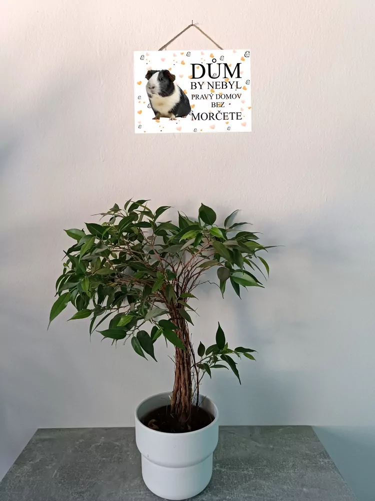 Cedulka s černobílým morčetem (český text)