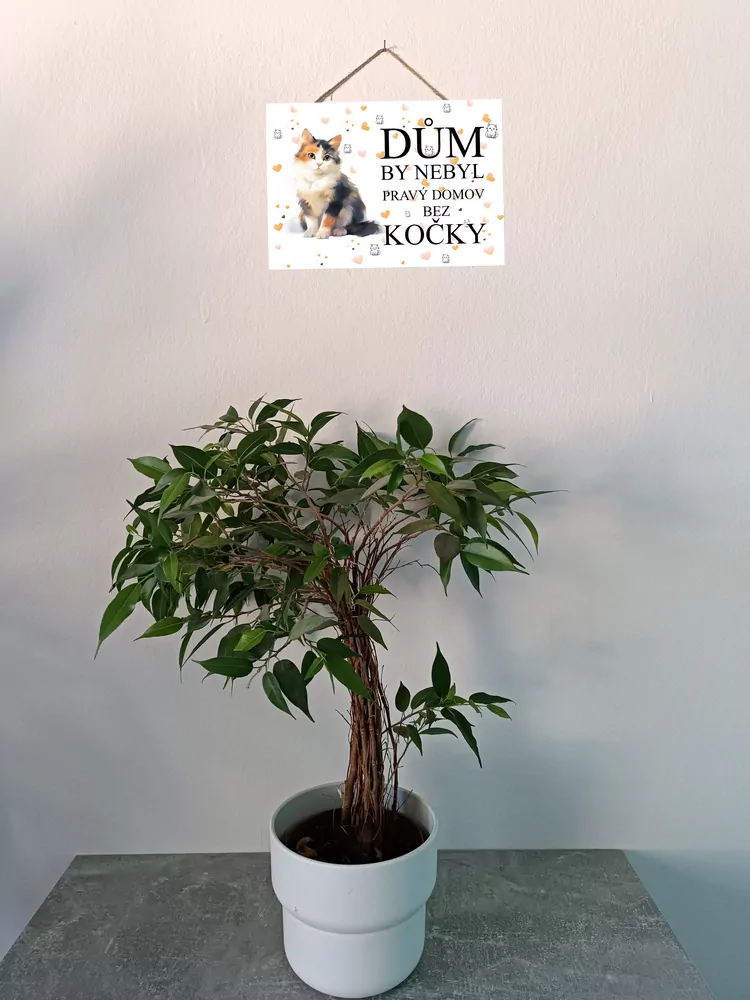 Cedulka s kočkou Monou