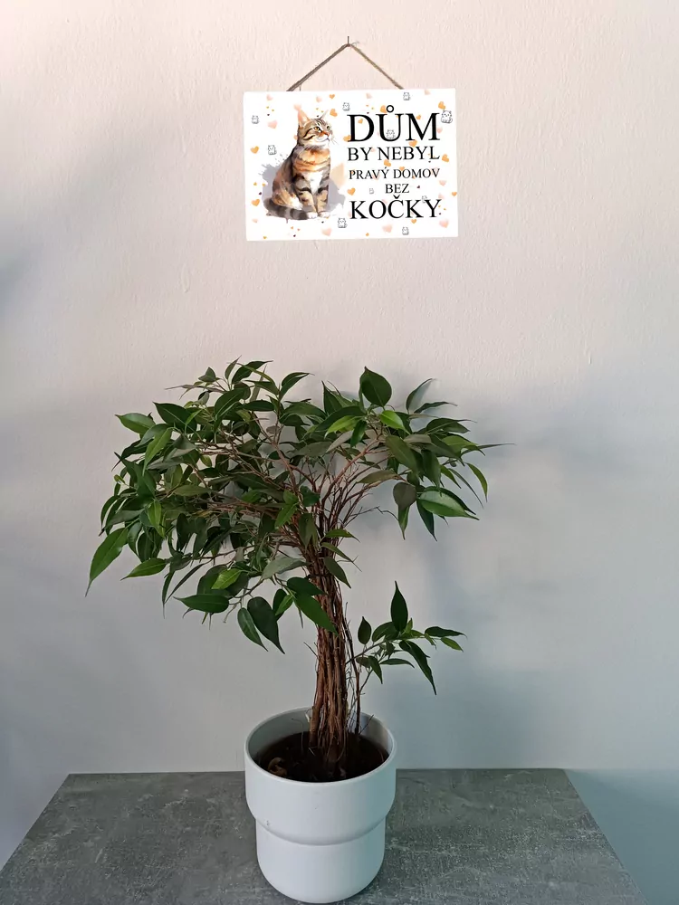 Cedulka s kočkou Aurou