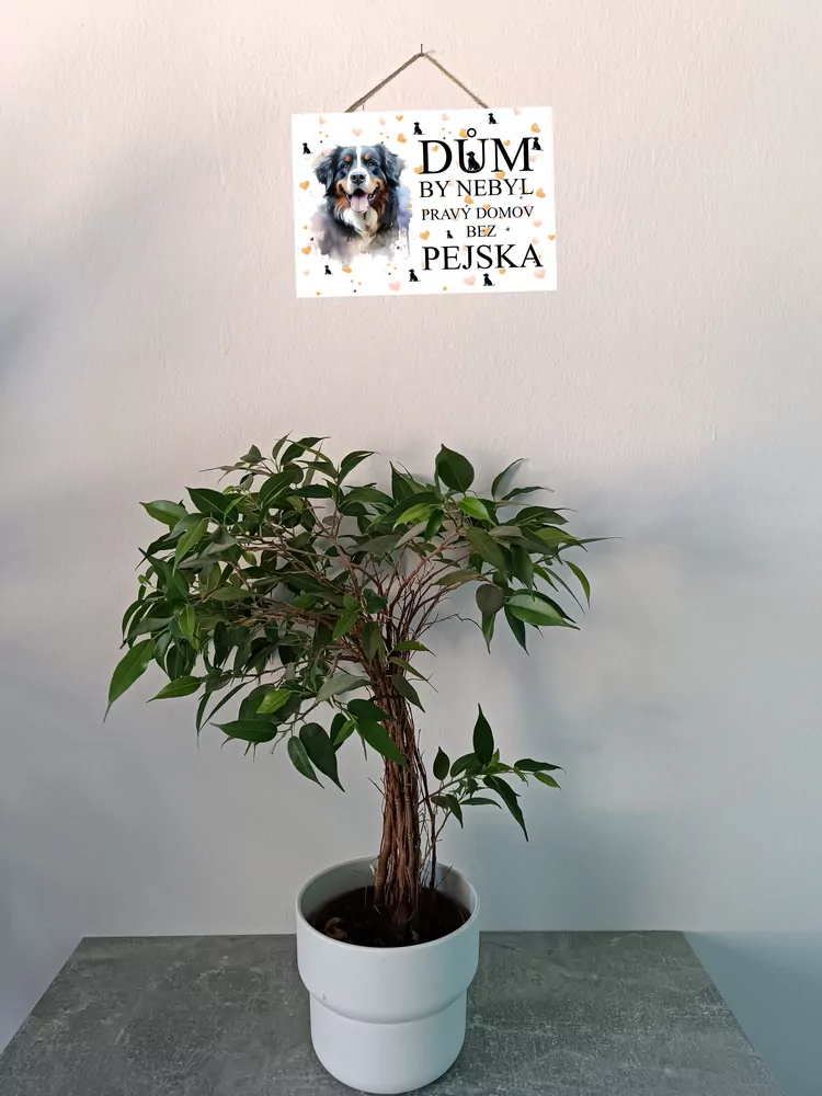 Cedulka s pejskem Valeriem