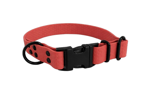 Obojek Meruňková brandy