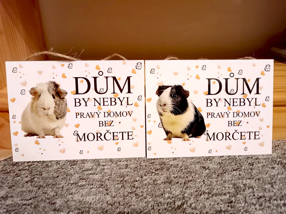 Cedulka se zrzavým morčetem (český text)