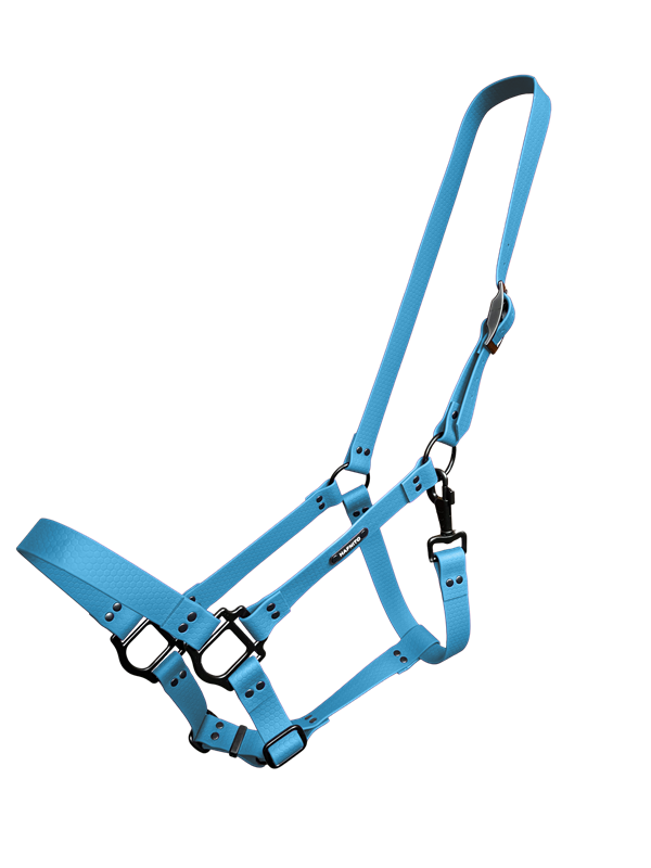 Ohlávka Světle modrá (č. 14)