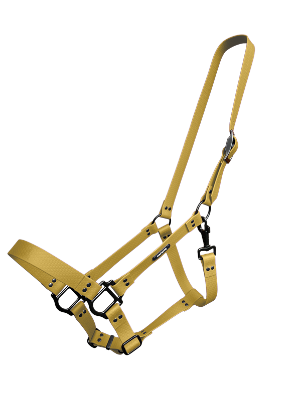 Ohlávka Zlatá (č. 22)