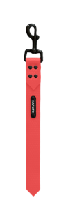 Couračka Růžová (č. 1)