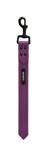Couračka Purpurová (č. 11)
