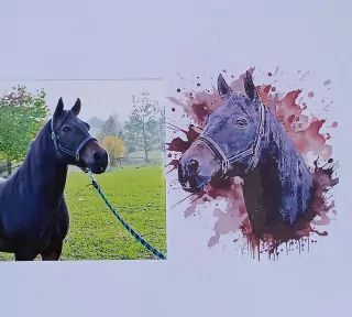 Přetvoření motivu dle fotografie