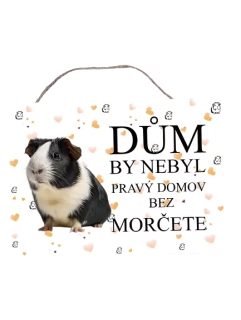 Cedulka s černobílým morčetem (český text)